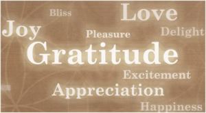 gratitude words